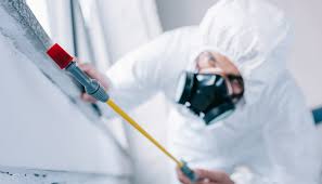 Pest Control for Hotels in San Mateo, CA